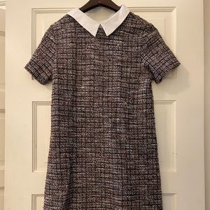 Cute knee length stretchy tweed Zara dress with poplin collar size medium